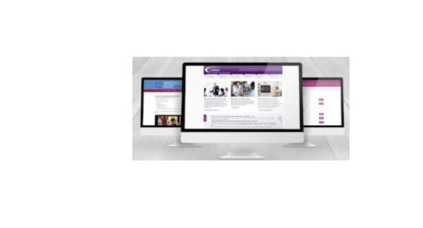 Broucher Website Design - Image 4
