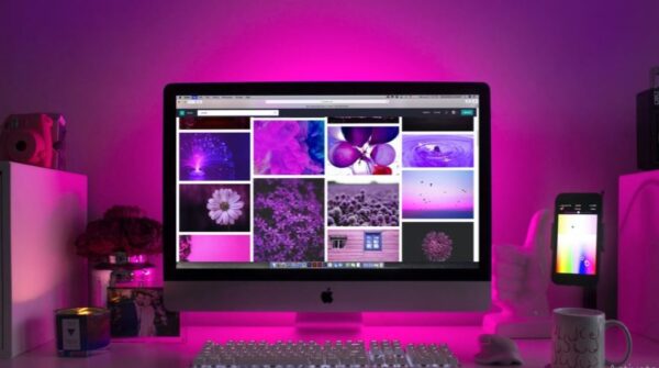 TV or video streaming Website Design - Image 3